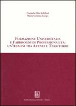 Formazione universitaria e fabbisogni di professionalità: un'analisi tra atenei e territorio