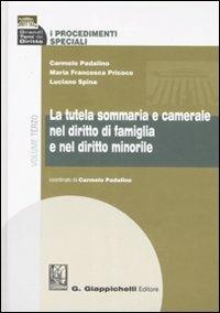 I procedimenti speciali. Vol. 3: La tutela sommaria e camerale nel diritto di famiglia e nel diritto minorile. - Carmelo Padalino,M. Francesca Pricoco,Luciano Spina - copertina