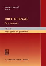 Diritto penale. Parte speciale. Vol. 2: Tutela penale del patrimonio.