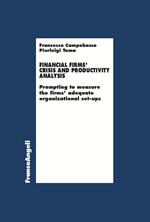 Financial Firms' crisis and productivity analysis