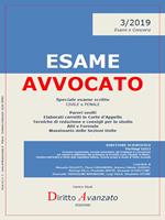 Esame avvocato 2019. Speciale esame scritto. Pareri, elaborati corretti in Corte d'Appello, tecniche di redazione, atti e formule, massimario