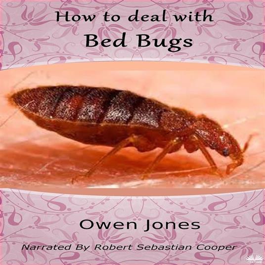 How To Deal With Bed Bugs