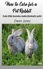 How to care for a pet rabbit. Cute little bunnies make fantastic pets!