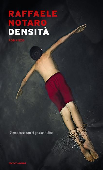 Densità - Raffaele Notaro - ebook