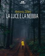 La luce e la nebbia