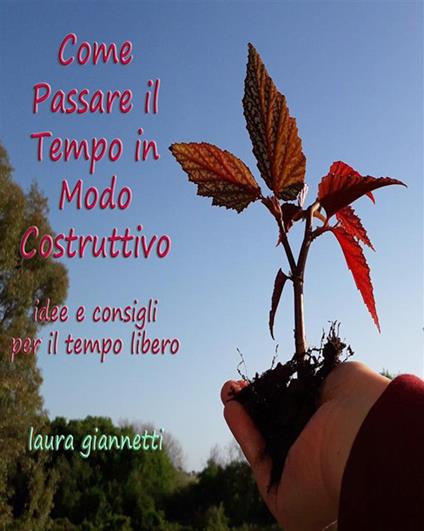 Come passare il tempo in modo costruttivo. Idee e consigli per il tempo libero - Laura Giannetti - ebook