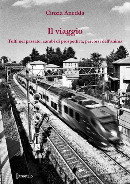 Il viaggio. Tuffi nel passato, cambi di prospettiva, percorsi dell'anima - Cinzia Anedda - ebook