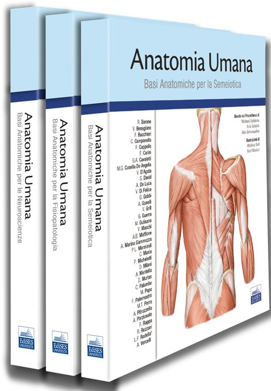 Anatomia umana. Cofanetto. Basato sul Prometheus - copertina