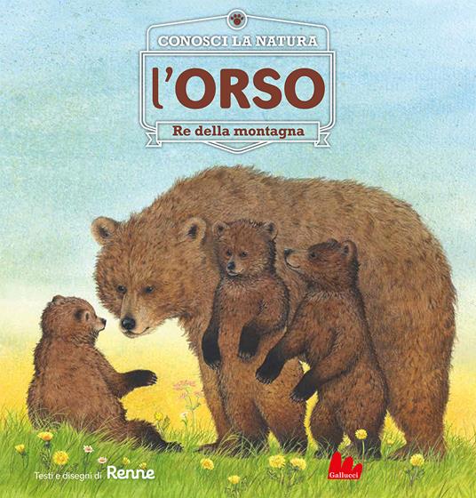 L'orso. Re della montagna. Conosci la natura. Ediz. a colori - Renne - copertina