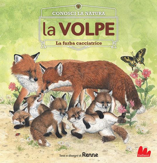 La volpe. La furba cacciatrice. Conosci la natura. Ediz. a colori - Renne - copertina