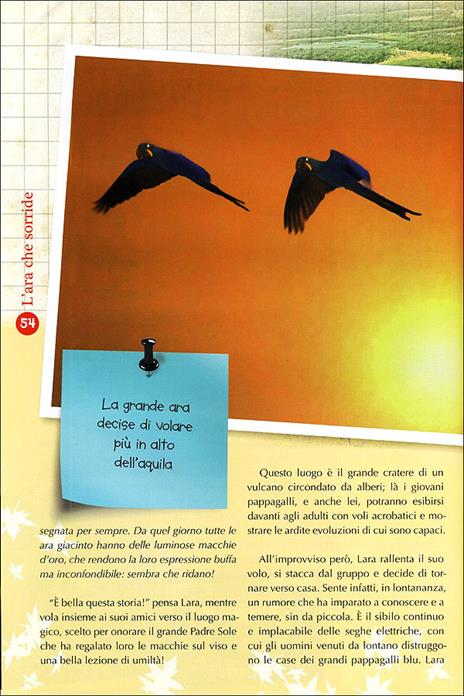 Le Meraviglie del Pianeta Terra. Storie di animali, bambini e natura. Ediz. illustrata - Roberto Isotti,Micol Ricci,Gabriele Salari - 5