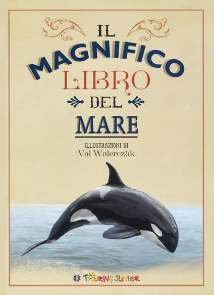 Il magnifico libro del mare - Tom Jackson - copertina