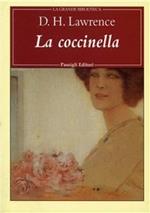 La coccinella