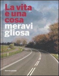 La vita è una cosa meravigliosa. Ediz. illustrata - Stefano Zuffi - copertina