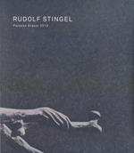 Rudolf Stingel. Palazzo Grassi 2013. Ediz. italiana, inglese e francese