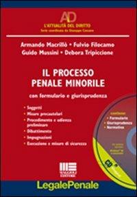 Processo penale minorile. Con CD-ROM - copertina