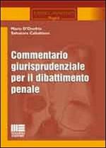 Commentario giurisprudenziale per il dibattimento penale