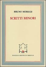 Scritti minori