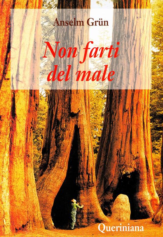 Non farti del male - Anselm Grün - copertina