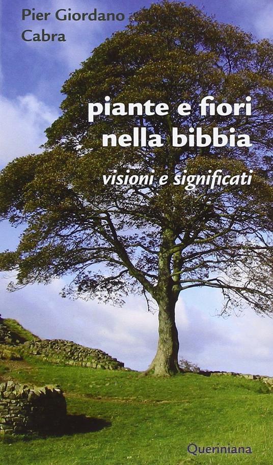 Piante e fiori nella Bibbia. Visioni e significati - Pier Giordano Cabra -  Libro - Queriniana - | laFeltrinelli