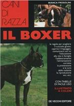 Il boxer