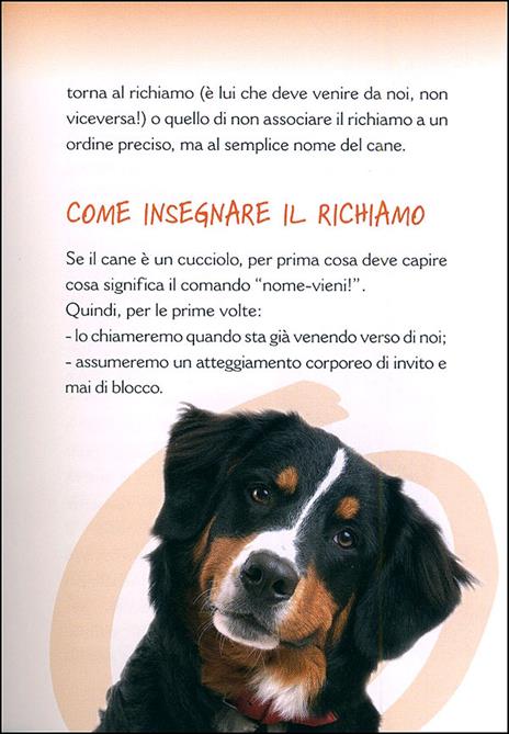 Che nome dare al tuo cucciolo dai più classici ai più originali. Con i nomi dei cani famosi - Valeria Rossi,Onorina Pitti - 4