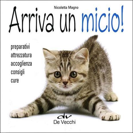 Arriva un micio! Preparativi, attrezzatura, accoglienza, cure - Nicoletta Magno - 5