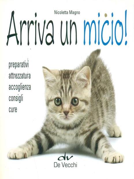 Arriva un micio! Preparativi, attrezzatura, accoglienza, cure - Nicoletta Magno - 6