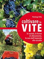 Coltivare la vite. Le varietà, le forme di allevamento, le cure dall'impianto alla raccolta