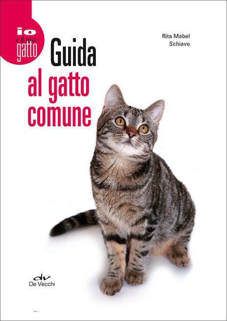 Guida al gatto comune - Rita Mabel Schiavo - copertina