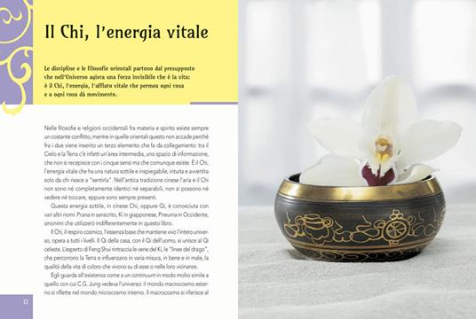 Feng shui. Armonia, prosperità, benessere - Alice Ki - 4