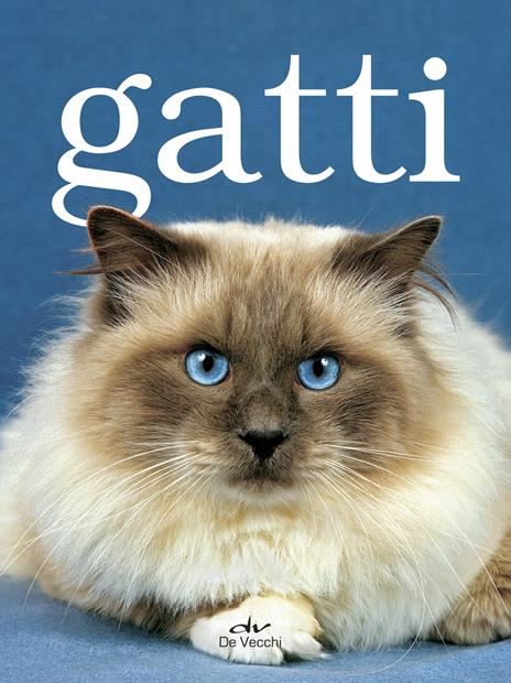 Gatti - copertina