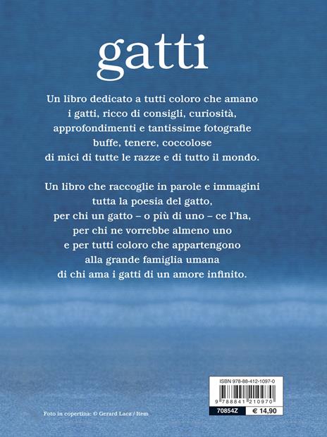 Gatti - 2