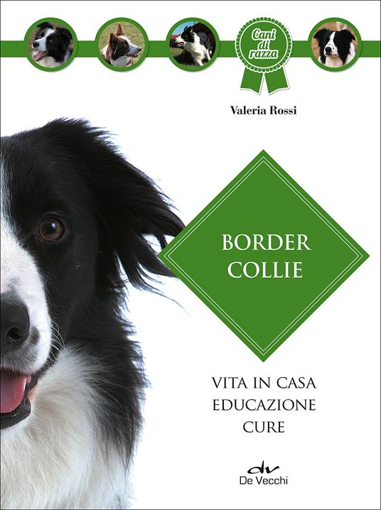 Border collie - Valeria Rossi - 2