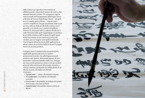 Calligrafia cinese. Impara a scrivere le prime 60 parole. Con gadget - Nicola Piccioli,Paola Billi - 3