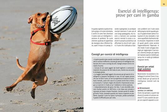 Giocare con il cane. Divertimenti e passatempi per cani e padroni - Christina Sondermann - 4