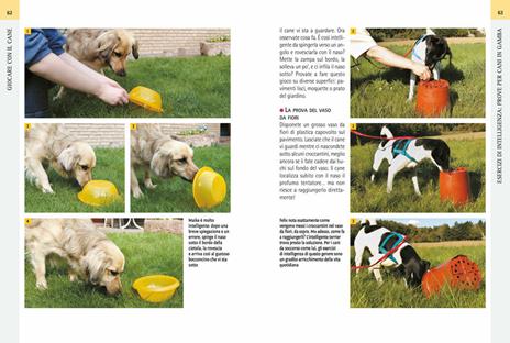 Giocare con il cane. Divertimenti e passatempi per cani e padroni - Christina Sondermann - 5