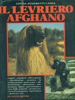 Il levriero afghano