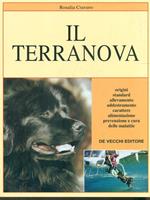 Il terranova