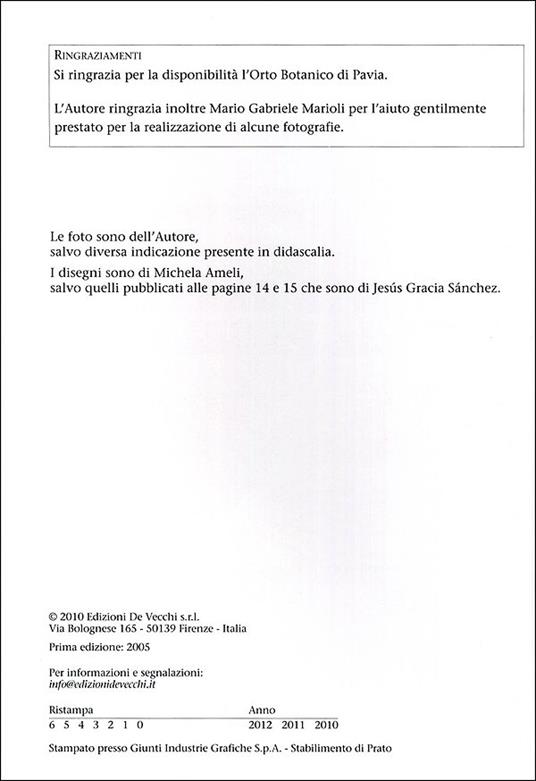 Piante grasse senza problemi - Alberto Massa Saluzzo - ebook - 2