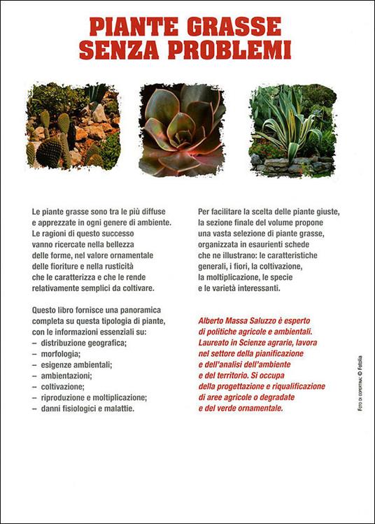 Piante grasse senza problemi - Alberto Massa Saluzzo - ebook - 3