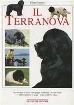 Il terranova