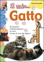 Il mio... gatto