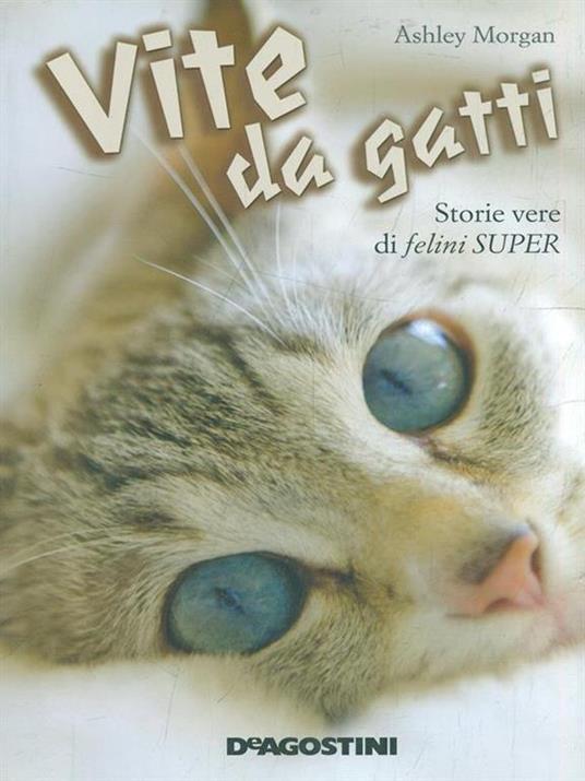 Vite da gatti. Storie vere di felini super - Ashley Morgan - 3