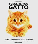 Scegli il tuo gatto. Come sapere quale razza fa per voi