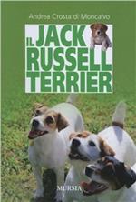 Il Jack Russell terrier