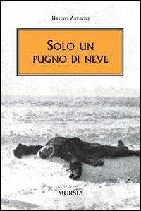 Solo un pugno di neve - Bruno Zavagli - copertina