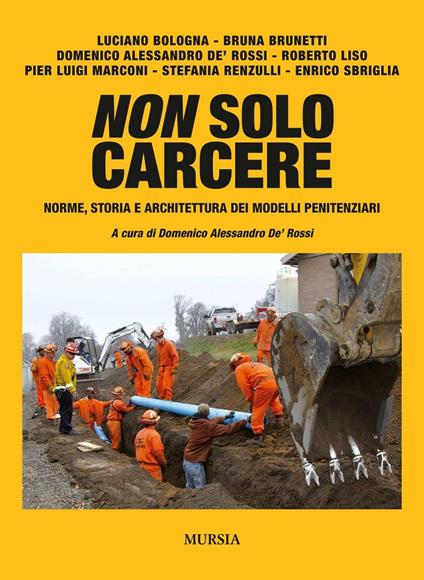 Non solo carcere. Norme, storia e architettura dei modelli penitenziari - copertina