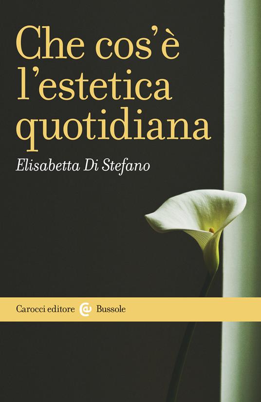 Che cos'è l'estetica quotidiana - Elisabetta Di Stefano - ebook
