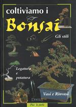 Coltiviamo i bonsai